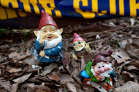 Gnomesville, Ferguson Valley