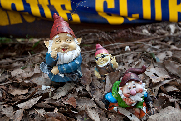 Gnomesville, Ferguson Valley