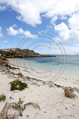 Salmon Bay, Rottnest Island, Western Australia