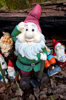 Gnomesville, Ferguson Valley
