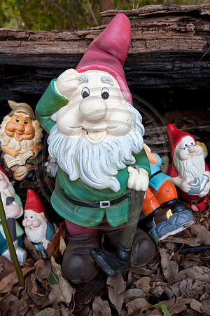 Gnomesville, Ferguson Valley