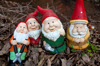 Gnomesville, Ferguson Valley