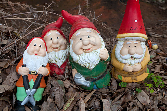 Gnomesville, Ferguson Valley