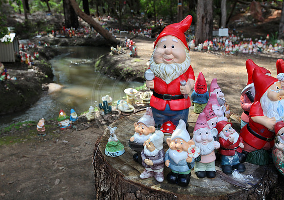 Gnomesville, Ferguson Valley