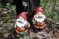 Gnomesville, Ferguson Valley