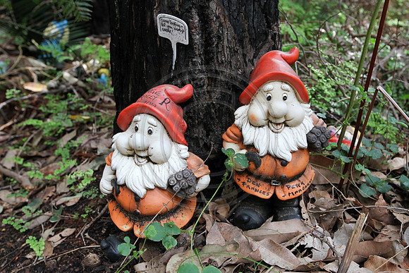 Gnomesville, Ferguson Valley