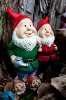 Gnomesville, Ferguson Valley