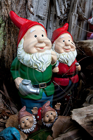 Gnomesville, Ferguson Valley