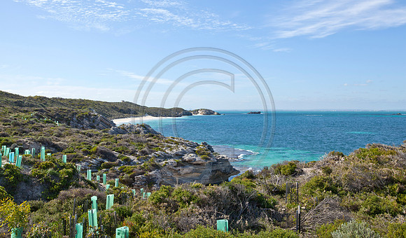 Rottnest Island, Western Australia