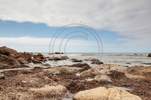 Bunker Bay, Yallingup, Western Australia
