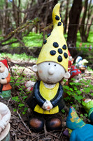 Gnomesville, Ferguson Valley
