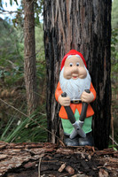 Gnomesville, Ferguson Valley