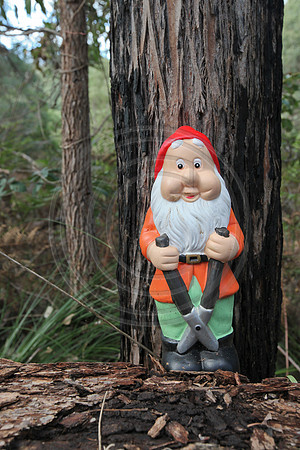 Gnomesville, Ferguson Valley