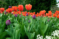 Araluen Botanic Park, Roleystone WA
