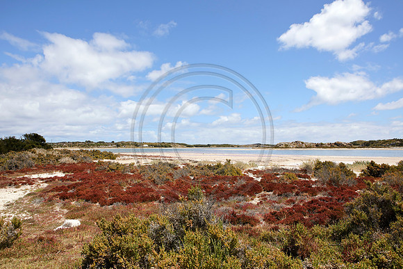Salt Lakes at Rottnest Island