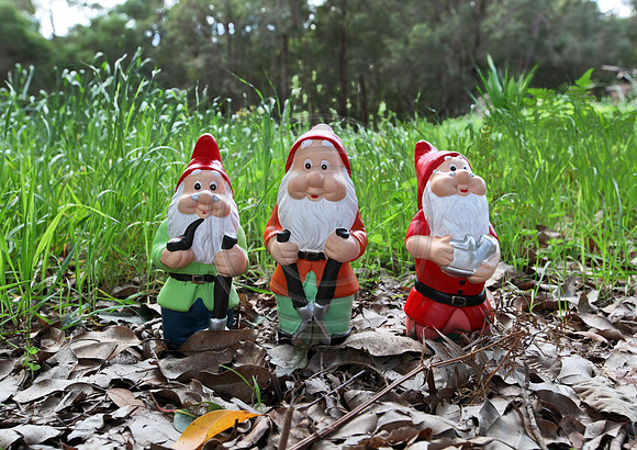 Gnomesville, Ferguson Valley