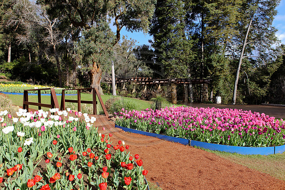 Araluen Botanic Gardens, Roleystone, Western Australia