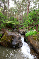 Flowing stream, Araluen, Roleystone, Western Australia