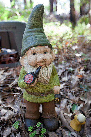Gnomesville, Ferguson Valley