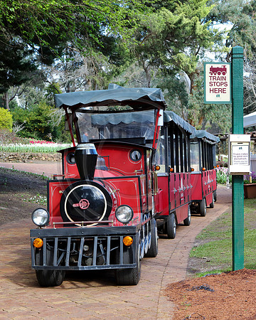 Train at Araluen Botanic Park