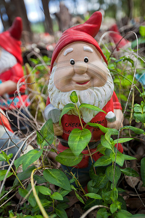 Gnomesville, Ferguson Valley